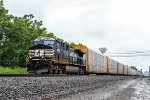 NS 4646 on 18N
